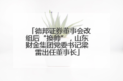 德邦证券董事会改组后“换帅”，山东财金集团党委书记梁雷出任董事长