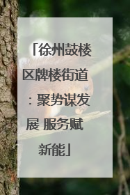 徐州鼓楼区牌楼街道：聚势谋发展 服务赋新能