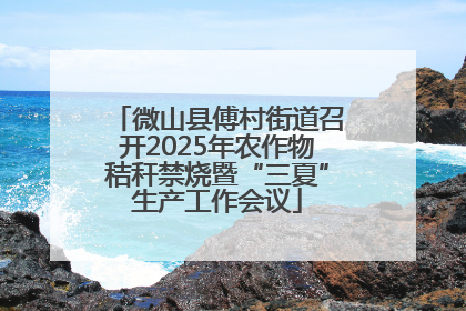 微山县傅村街道召开2025年农作物秸秆禁烧暨“三夏”生产工作会议