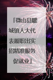 微山县驩城镇人大代表履职出实招精准服务促就业