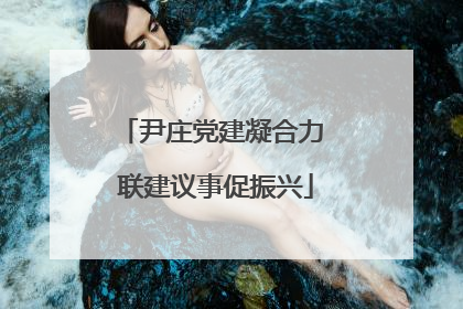 尹庄党建凝合力 联建议事促振兴