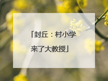 封丘：村小学来了大教授