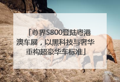 尊界S800登陆粤港澳车展，以黑科技与奢华重构超豪华车标准