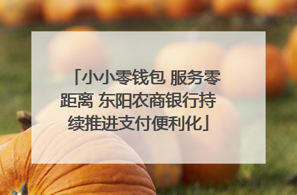 小小零钱包 服务零距离 东阳农商银行持续推进支付便利化