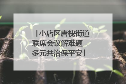 小店区唐槐街道联席会议解难题 多元共治保平安