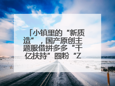 小镇里的“新质造”，国产原创主题服借拼多多“千亿扶持”圈粉“Z世代”