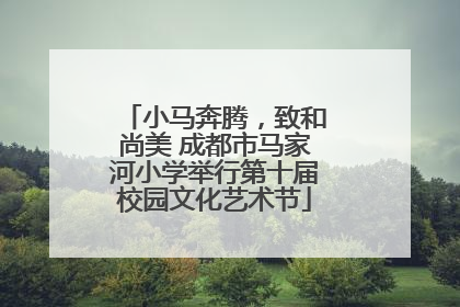小马奔腾，致和尚美 成都市马家河小学举行第十届校园文化艺术节
