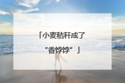 小麦秸秆成了“香饽饽”