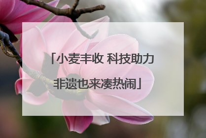 小麦丰收 科技助力 非遗也来凑热闹