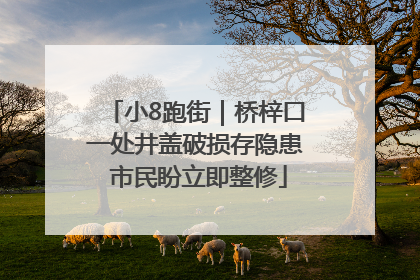 小8跑街｜桥梓口一处井盖破损存隐患 市民盼立即整修