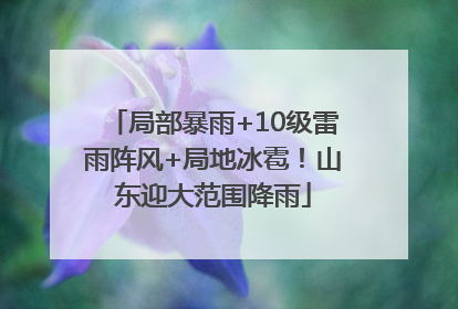 局部暴雨+10级雷雨阵风+局地冰雹！山东迎大范围降雨