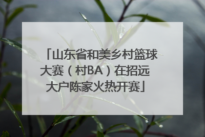 山东省和美乡村篮球大赛（村BA）在招远大户陈家火热开赛