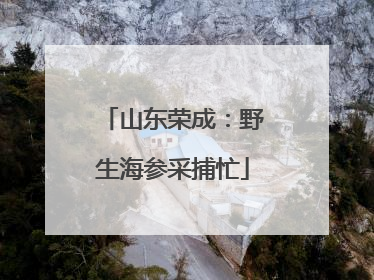 山东荣成：野生海参采捕忙