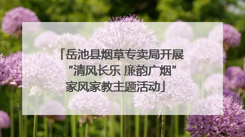 岳池县烟草专卖局开展“清风长乐 廉韵广烟”家风家教主题活动