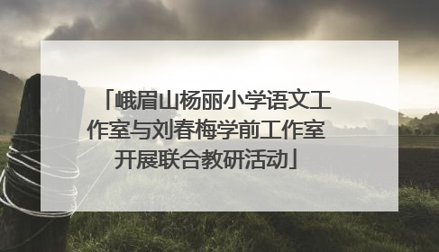 峨眉山杨丽小学语文工作室与刘春梅学前工作室开展联合教研活动