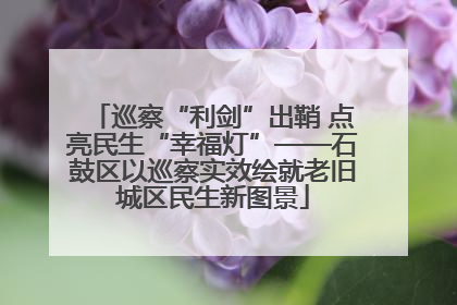 巡察“利剑”出鞘 点亮民生“幸福灯”——石鼓区以巡察实效绘就老旧城区民生新图景