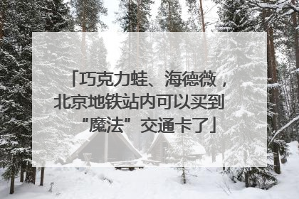巧克力蛙、海德薇，北京地铁站内可以买到“魔法”交通卡了