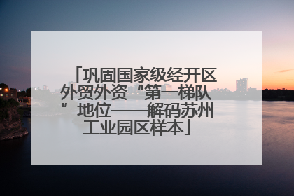 巩固国家级经开区外贸外资“第一梯队”地位——解码苏州工业园区样本