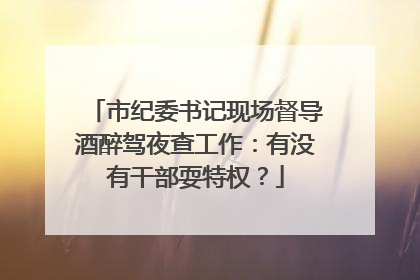 市纪委书记现场督导酒醉驾夜查工作：有没有干部耍特权？