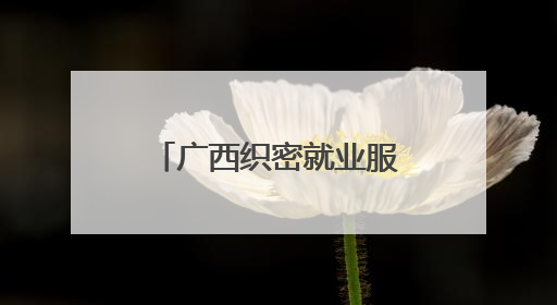 广西织密就业服务保障网 精准帮扶青年就业