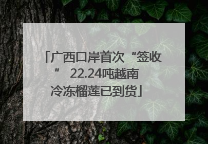广西口岸首次“签收” 22.24吨越南冷冻榴莲已到货
