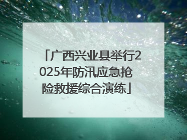 广西兴业县举行2025年防汛应急抢险救援综合演练