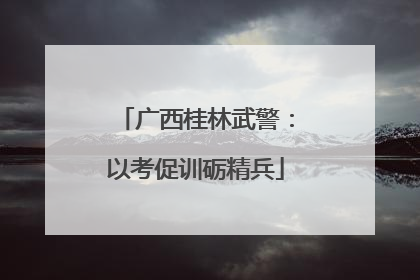 广西桂林武警：以考促训砺精兵