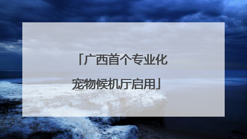 广西首个专业化宠物候机厅启用