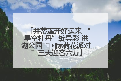 并蒂莲开好运来 “星空牡丹”绽异彩 洪湖公园“国际荷花派对”三天迎客六万