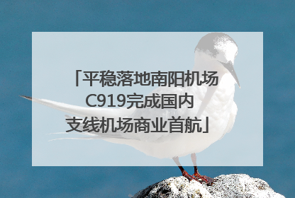 平稳落地南阳机场 C919完成国内支线机场商业首航