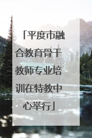 平度市融合教育骨干教师专业培训在特教中心举行