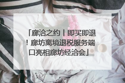 廊洽之约丨即买即退！廊坊离境退税服务端口亮相廊坊经洽会