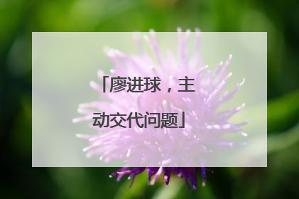 廖进球，主动交代问题