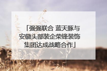 强强联合 蓝天豚与安徽头部装企荣锋装饰集团达成战略合作
