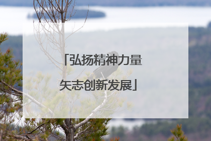 弘扬精神力量 矢志创新发展