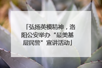弘扬英模精神，洛阳公安举办“最美基层民警”宣讲活动
