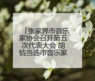 张家界市音乐家协会召开第五次代表大会 胡情当选市音乐家协会主席