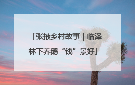 张掖乡村故事｜临泽林下养鹅“钱”景好