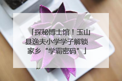 探秘博士馆！玉山县逸夫小学学子解锁家乡“学霸密码”