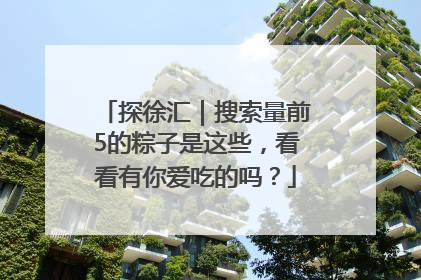 探徐汇｜搜索量前5的粽子是这些，看看有你爱吃的吗？