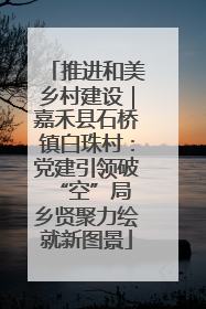 推进和美乡村建设｜嘉禾县石桥镇白珠村：党建引领破“空”局 乡贤聚力绘就新图景