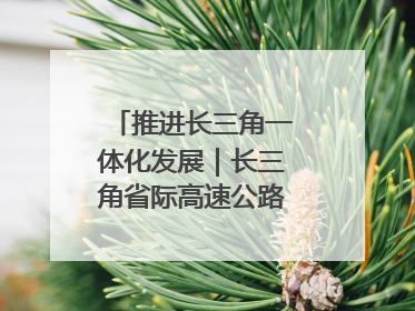 推进长三角一体化发展｜长三角省际高速公路网加快成型