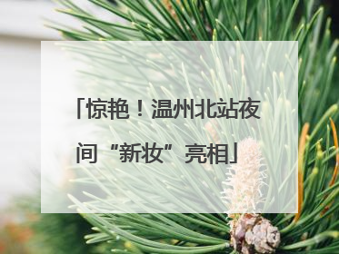 惊艳！温州北站夜间“新妆”亮相