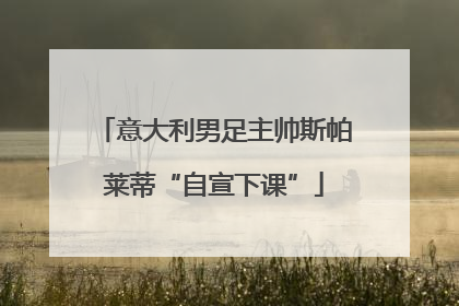 意大利男足主帅斯帕莱蒂“自宣下课”