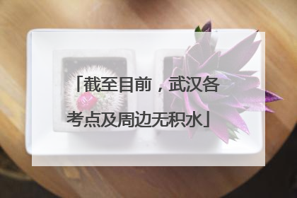 截至目前，武汉各考点及周边无积水