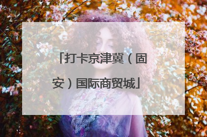 打卡京津冀（固安）国际商贸城