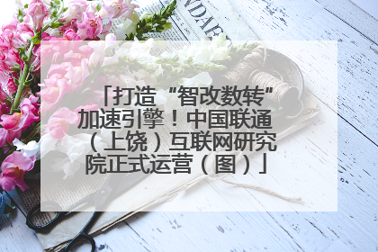 打造“智改数转”加速引擎！中国联通（上饶）互联网研究院正式运营（图）