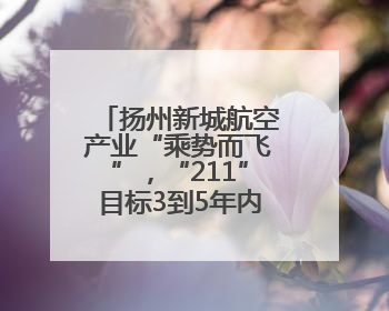 扬州新城航空产业“乘势而飞”，“211”目标3到5年内实现令人憧憬