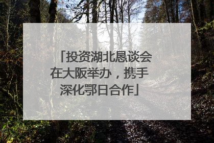 投资湖北恳谈会在大阪举办，携手深化鄂日合作