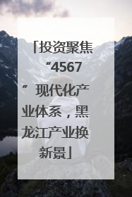 投资聚焦“4567”现代化产业体系，黑龙江产业换新景